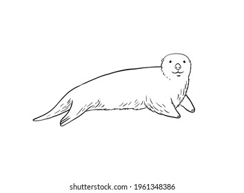 Cute Sea Otter hand-drawn illustration. Adorable otter animal sketch art isolated on white background