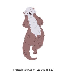 Cute sea otter swimming on back top view flat style, vector illustration isolated on white background. Furry water animal with long tail, decorative design element, wildlife