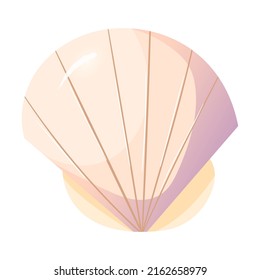 Cute sea shell in cartoon style.