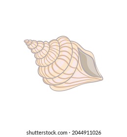 Cute sea shell on a white background Vector illustration, hand-drawn.