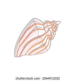 Cute sea shell on a white background Vector illustration, hand-drawn.