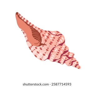 Cute sea shell with spiral shape. Exotic seashell, ornamented mollusk. Ocean conch with coiled form. Big drawing whelks. Beach decoration, decor. Flat isolated vector illustration on white background