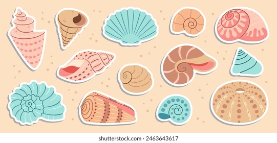 Cute sea shells sticker set. Trendy flat style seashell collection. Ocean underwater sink seashell conch aquatic mollusk. Hand drawn spiral snail, marine animals. Vector illustration