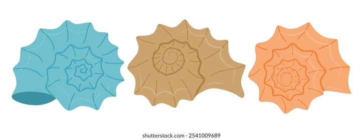 Cute sea snail vector set cute cartoon style. Seashell collection on white background.