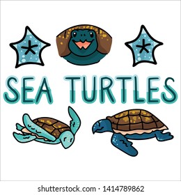 Cute sea turtle banner  cartoon vector illustration motif set. Hand drawn isolated shell elements clipart for starfish blog, aquatic graphic.