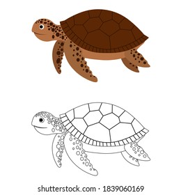 
Cute sea turtle isolated on white background. Marine animals in outline and flat style. Cartoon wildlife for web pages.
Stock vector illustration for decor and design, textiles, books, magazines