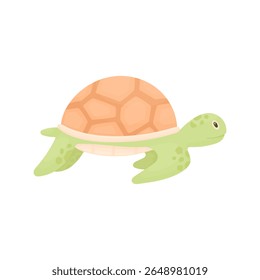 Cute sea turtle on a white background. Animals of the underwater world.