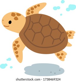 Cute sea turtle swimming under the water