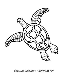 Cute sea turtle. Vector illustration in the style of a doodle. turtle sketch