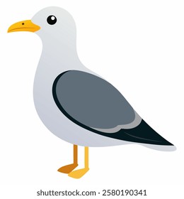 Cute seagull bird cartoon . Suitable for educational posters, logos, children's books and encyclopedias. Children's picture. Vector illustration