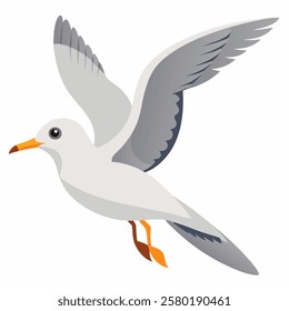 Cute seagull bird flying cartoon . Suitable for educational posters, logos, children's books and encyclopedias. Children's picture. Vector illustration