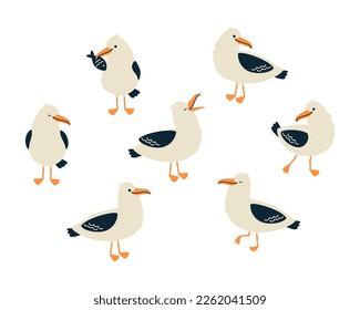 Cute seagull characters set. Isolated on white background. Cartoon hand drawn vector illustration.