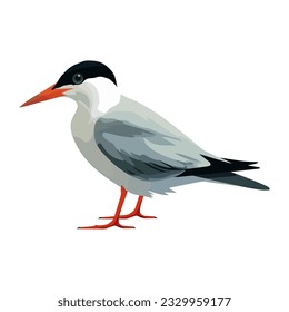 Cute seagull flying over tropical water branch icon isolated