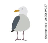 Cute Seagull, Minimal flat illustration