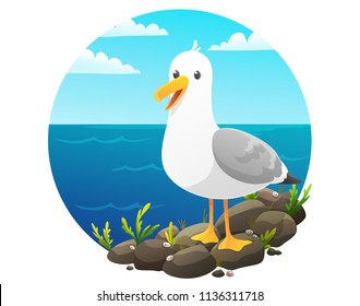 cute-seagull-on-rock-cliff-260nw-1136311718.jpg