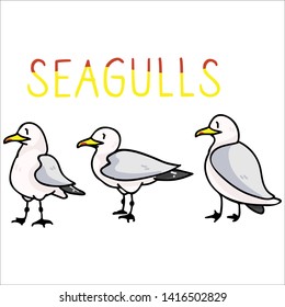 Cute seagull text cartoon vector illustration motif set. Hand drawn isolated seaside wildlife elements clipart for nautical birdwatching blog, bird graphic, feather web buttons.