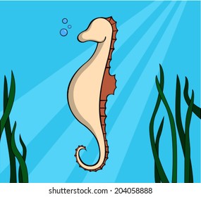 Cute seahorse