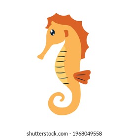 cute seahorse on white background