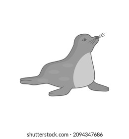 Cute seal animal cartoon isolated on white background, vector