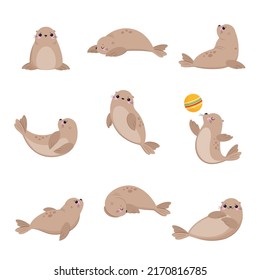Cute Seal with Beige Fur and Fins Swimming and Playing Ball Vector Set