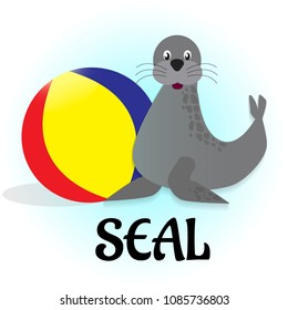 A cute seal with big ball