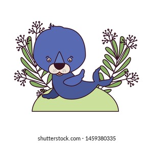 cute seal with branch and leaves of background