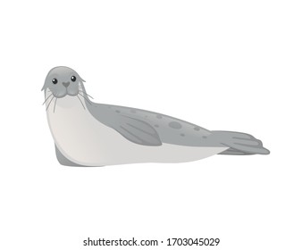 Cute seal cartoon animal design flat vector illustration isolated on white background