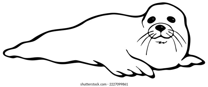 Cute seal cartoon animal outline design flat vector illustration isolated on white background