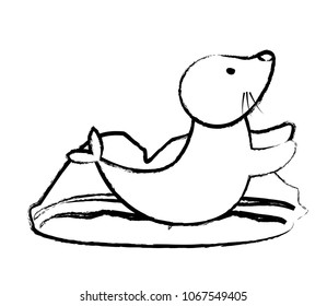 cute seal icon