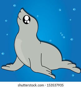 cute seal on special blue background