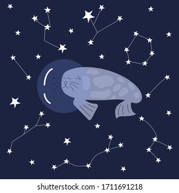 Cute seal in space - vector illustration. Vector print ideal for baby texil and posters.