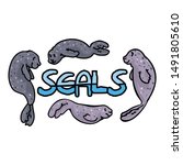 Cute seal typography vector. Ocean sea life clipart. 