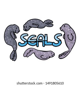 Cute seal typography vector. Ocean sea life clipart. 