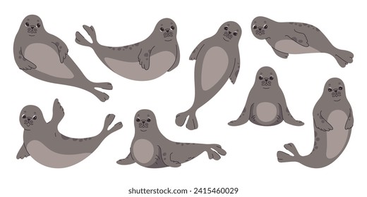 Cute seal in various poses set. Vector flat illustration on white background.