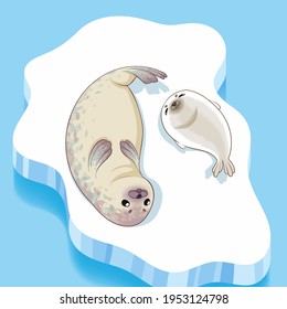 Cute seals family cartoon character design. vector Illustration.