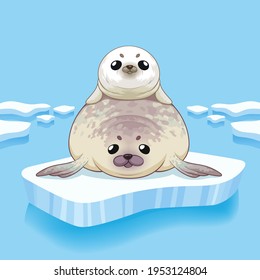 Cute seals family cartoon character design. vector Illustration.