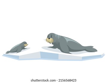 Cute seals family cartoon character design. Small and big gray sea lion lie together on ice. Harp seal pup. Sea ocean water. Mother and baby family. Mammal living in arctic floating on broken ice floe