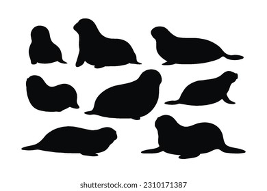 Cute seals silhouette bundle design. Wild sea lions sitting in different positions. Seals full body silhouette collection. Big sea creatures and sea lions sitting, silhouettes on a white background.