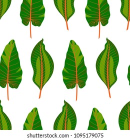 Cute seamless background of different green tropical leaves on white background