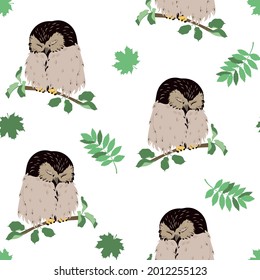 Cute seamless pattern with owls. Forest pattern with leaves and owls on white background. For decoration textile, packaging, wallpaper.