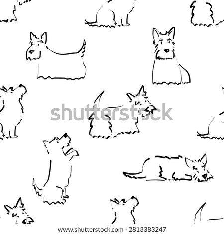A cute seamless pattern with Scottish terrier dogs standing in different poses - standing, sitting, begging, sleeping, looking back.