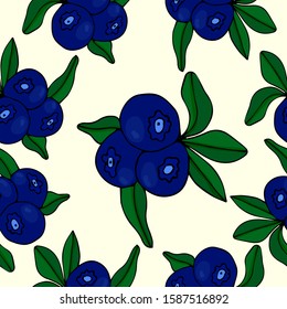Cute seamless pattern.Blueberies icons on a beautiful background. Elements for your design. Hand drawn vector illustration. A series of food and drink and culinary ingredients.