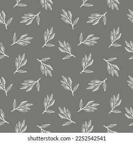 Cute seamless repeat pattern with sage leaves on gray background, botanical motif. Hand drawn sage in pattern for textile, wrapping paper and packaging design. Vector