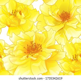 PATRÓN DE VERANO INSEGURO CON ROSAS AMARILLAS REALISTAS EN UN FONDO BLANCO