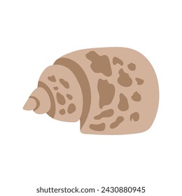 Cute seashell. Hand drawn vector illustration for travel design.