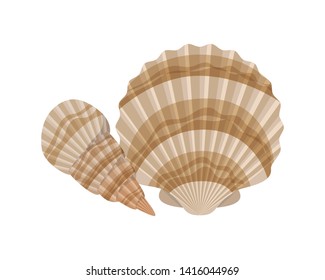 cute seashell on the sea in white background