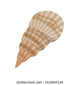 cute seashell on the sea in white background