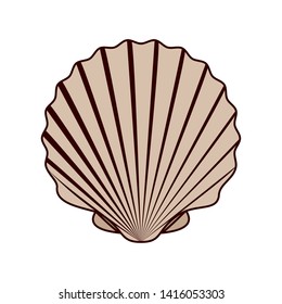cute seashell on the sea in white background
