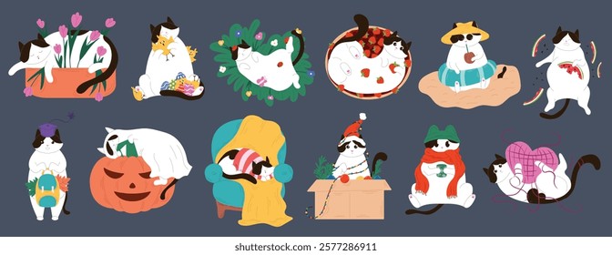 Cute seasonal tuxedo cat set showing activities throughout the year in flat style. Perfect for calendar, greeting card, decoration and pet store, shop design. Vector illustration isolated.