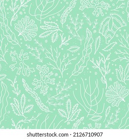 Cute seaweed seamless pattern, hand drawn underwater background, great for textiles, banners, wallpapers, wrapping - vector design